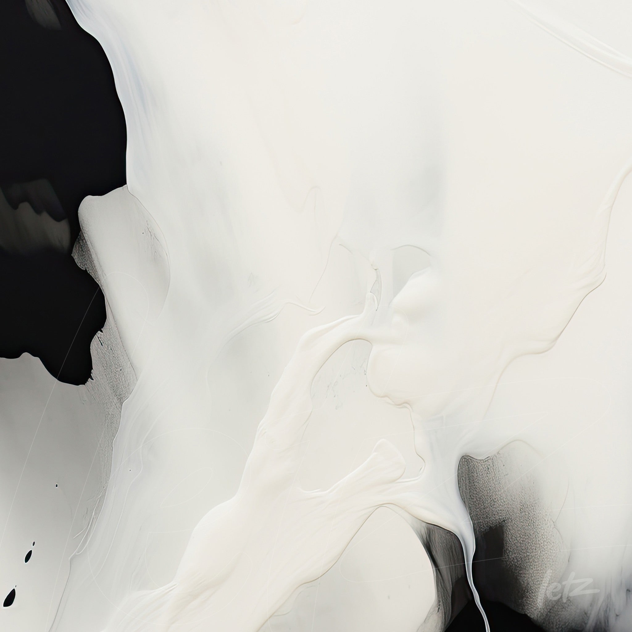 abstract art in black and white featuring fluid strokes and smooth textures