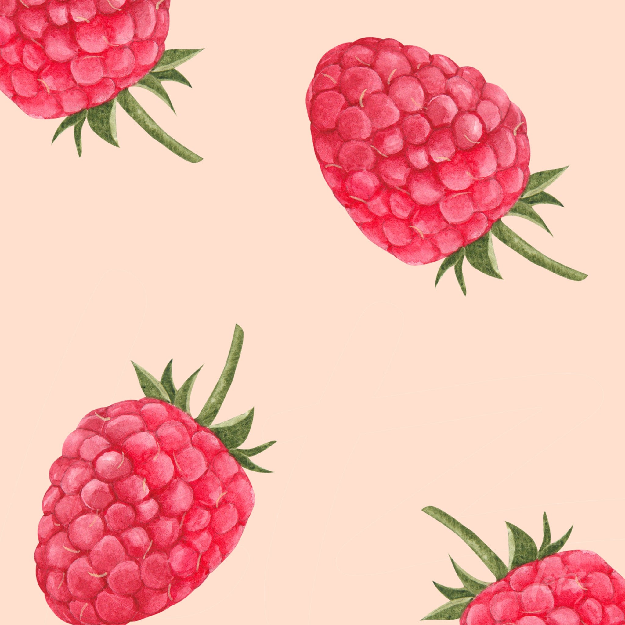 art print featuring illustrations of raspberries on soft pink background