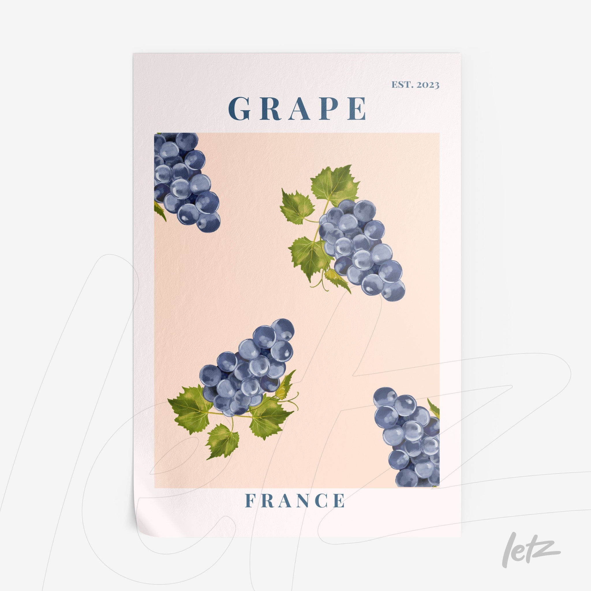 poster print featuring illustrations of blue grapes on a soft pink background with text 'GRAPE' and 'FRANCE'