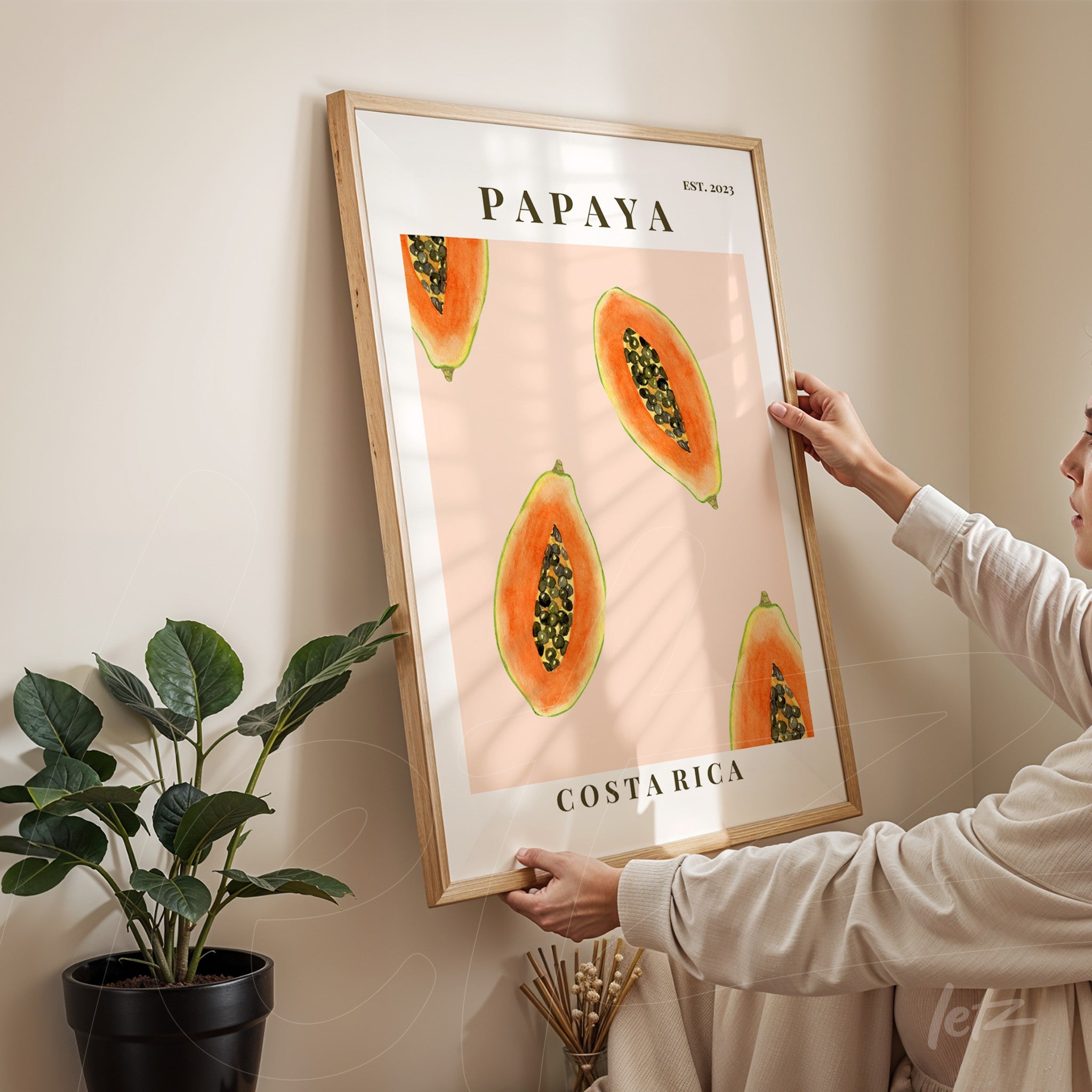 framed wall art featuring a half papaya illustration on pink background with text regarding Costa Rica