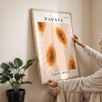 framed wall art featuring a half papaya illustration on pink background with text regarding Costa Rica