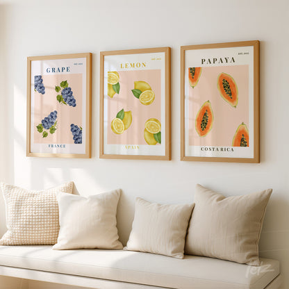 set of framed illustrations featuring grapes, lemons, and papaya in light wooden frames displayed on a white wall with light-colored sofas in the background