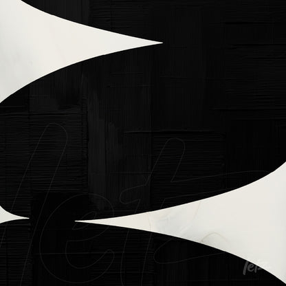 abstract art in black background featuring soft white shapes