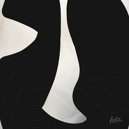abstract wall art in black and white featuring fluid shapes and smooth texture