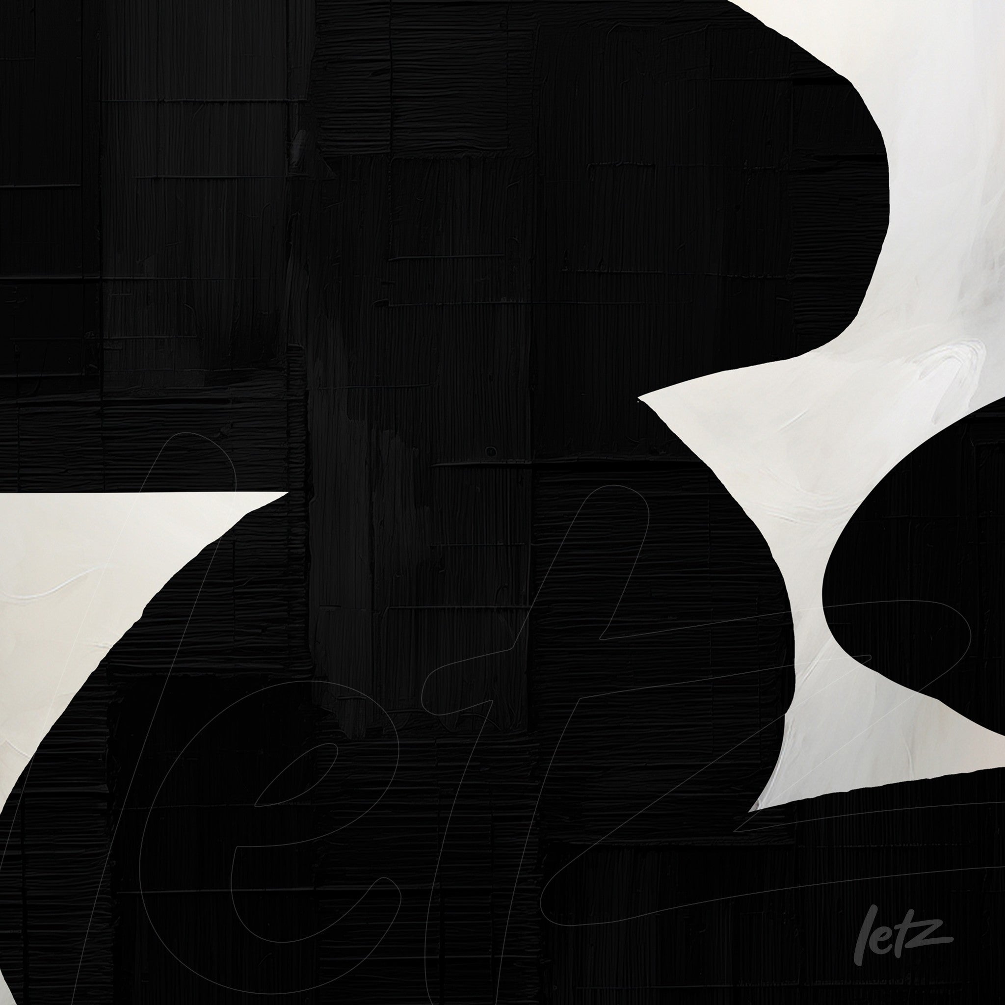 abstract wall art in black and white featuring organic shapes and deep textures