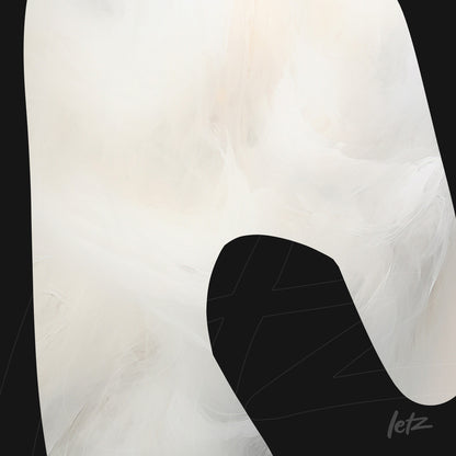 abstract art in neutral tones featuring fluid shapes on dark background