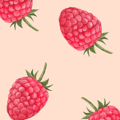art print featuring illustrations of raspberries on soft pink background